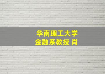 华南理工大学金融系教授 肖